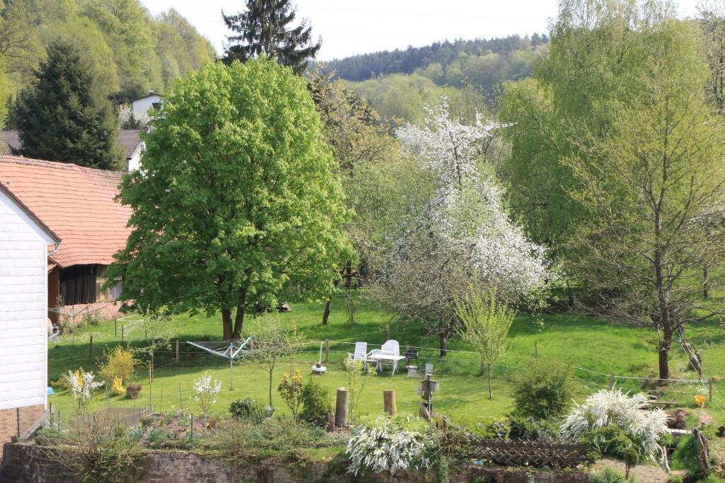 Gasthof Zur Traube Finkenbach Pokój zdjęcie